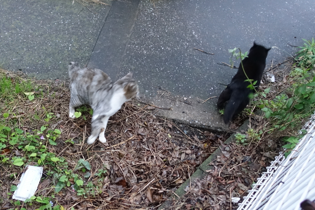 f:id:shigeo-t:20171030121353j:plain