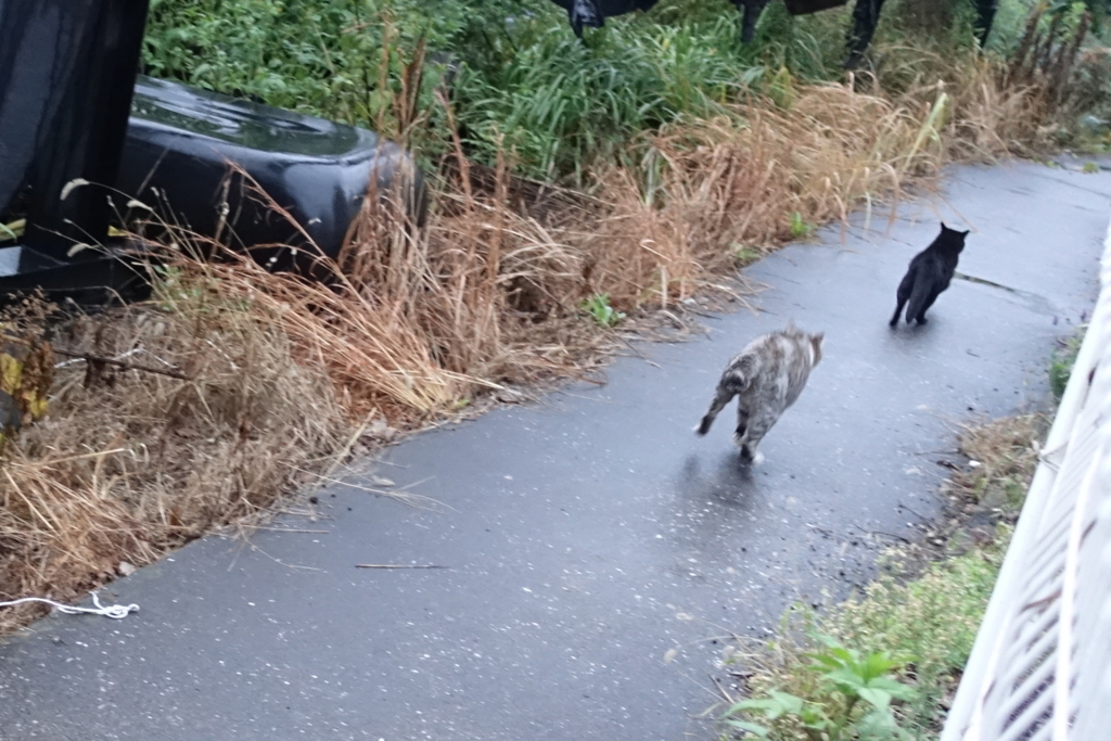 f:id:shigeo-t:20171030121423j:plain