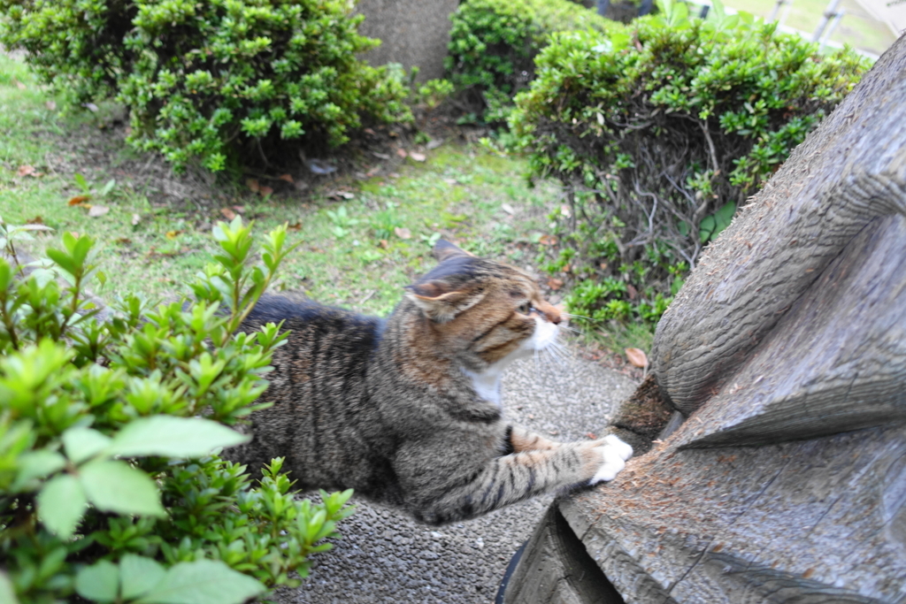 f:id:shigeo-t:20171030122342j:plain