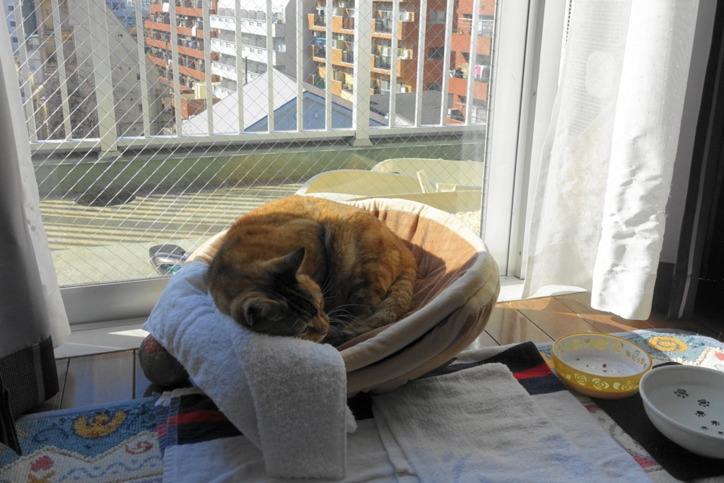 f:id:shigeo-t:20171212033522j:plain f:id:shigeo-t:20171212033522j:plain