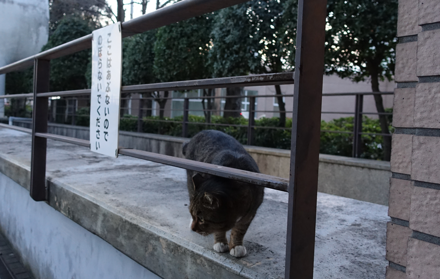 f:id:shigeo-t:20171217112556p:plain f:id:shigeo-t:20171217112556p:plain