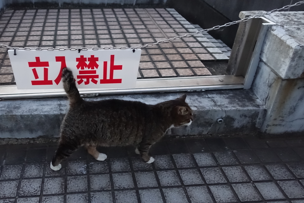f:id:shigeo-t:20171218150839j:plain f:id:shigeo-t:20171218150839j:plain