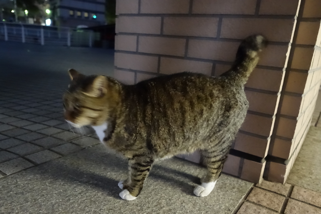f:id:shigeo-t:20171218153025j:plain f:id:shigeo-t:20171218153025j:plain