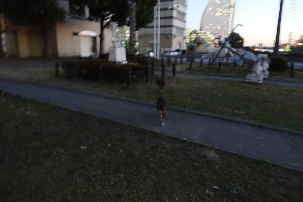 f:id:shigeo-t:20171229185934j:plain