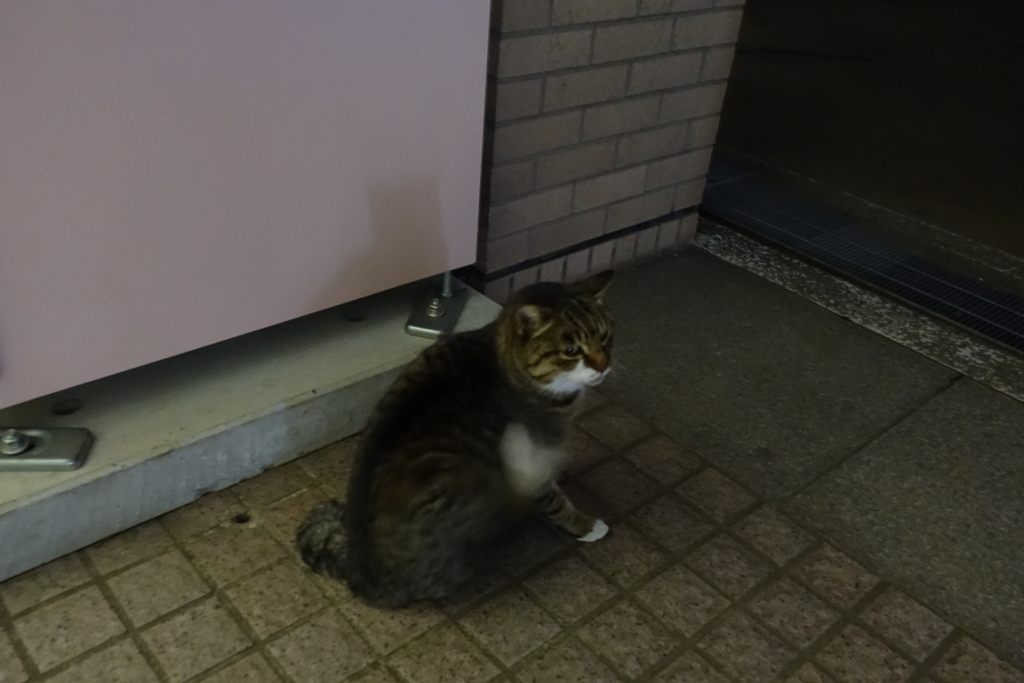 f:id:shigeo-t:20180103093703j:plain f:id:shigeo-t:20180103093703j:plain