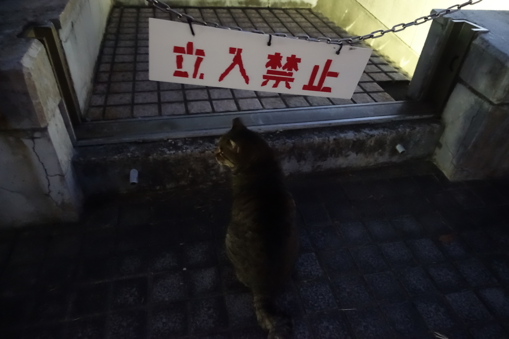 f:id:shigeo-t:20180103095922j:plain f:id:shigeo-t:20180103095922j:plain