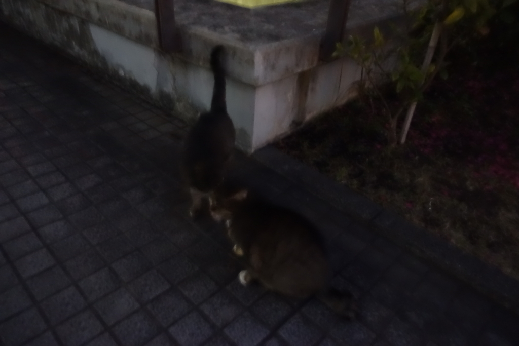 f:id:shigeo-t:20180103101219j:plain f:id:shigeo-t:20180103101219j:plain