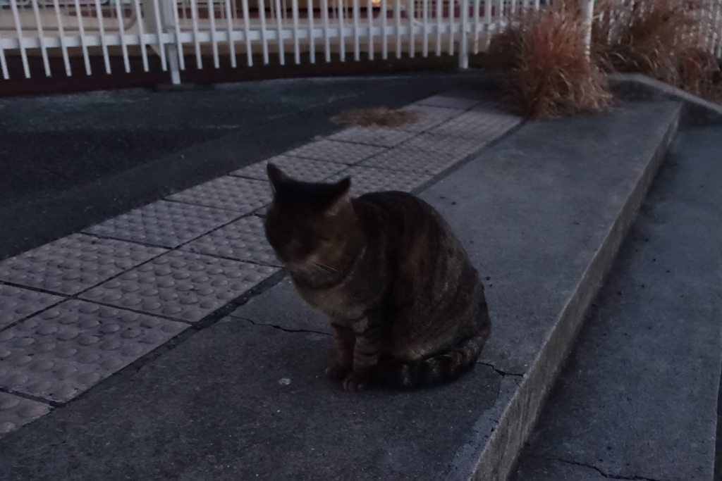 f:id:shigeo-t:20180104111305j:plain f:id:shigeo-t:20180104111305j:plain