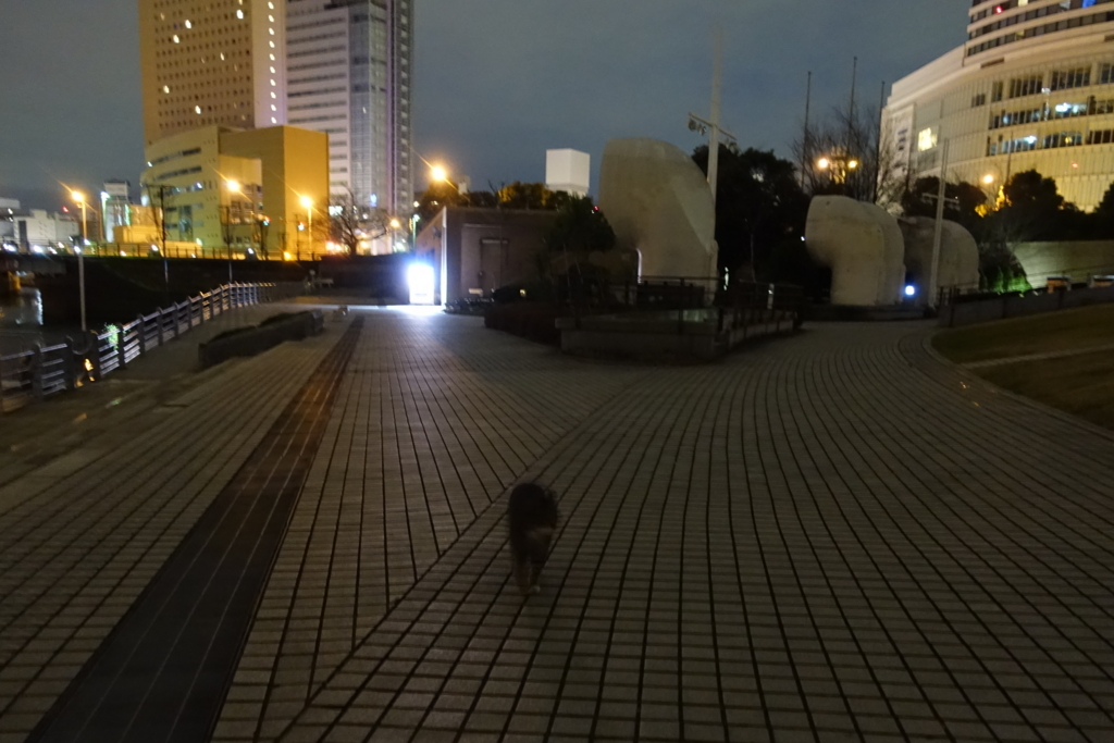 f:id:shigeo-t:20180104112049j:plain f:id:shigeo-t:20180104112049j:plain