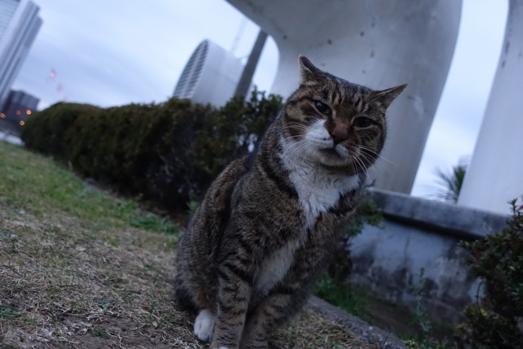 f:id:shigeo-t:20180104113558j:plain f:id:shigeo-t:20180104113558j:plain