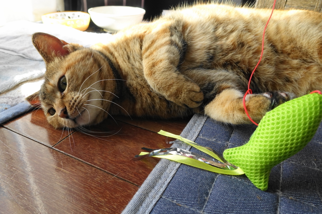 f:id:shigeo-t:20180106121142j:plain f:id:shigeo-t:20180106121142j:plain