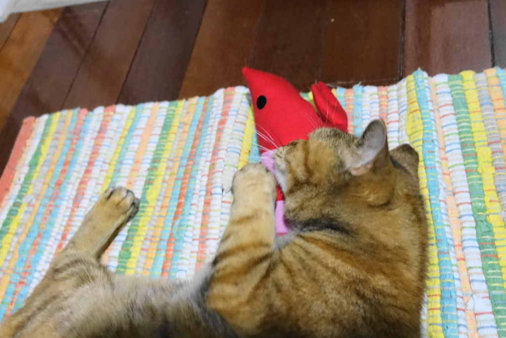 f:id:shigeo-t:20180107110839j:plain f:id:shigeo-t:20180107110839j:plain