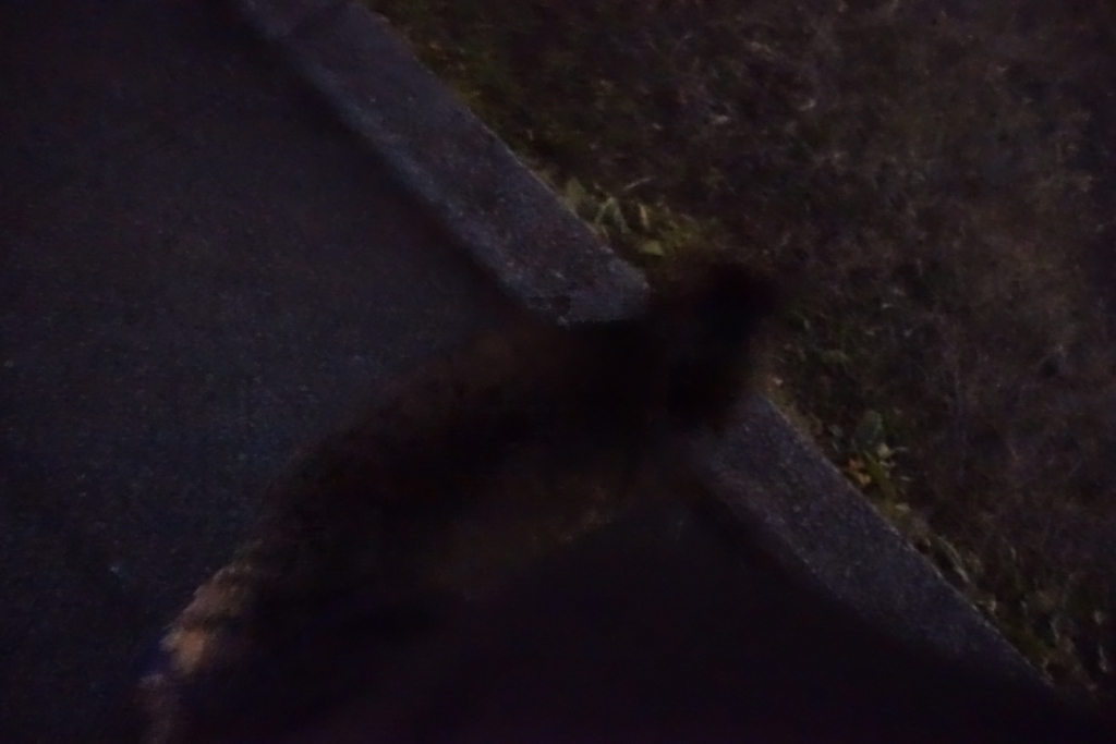 f:id:shigeo-t:20180113113149j:plain f:id:shigeo-t:20180113113149j:plain
