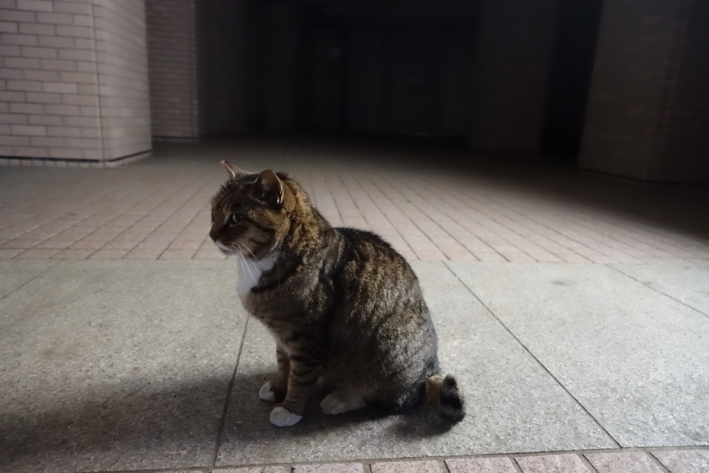 f:id:shigeo-t:20180113114856j:plain f:id:shigeo-t:20180113114856j:plain