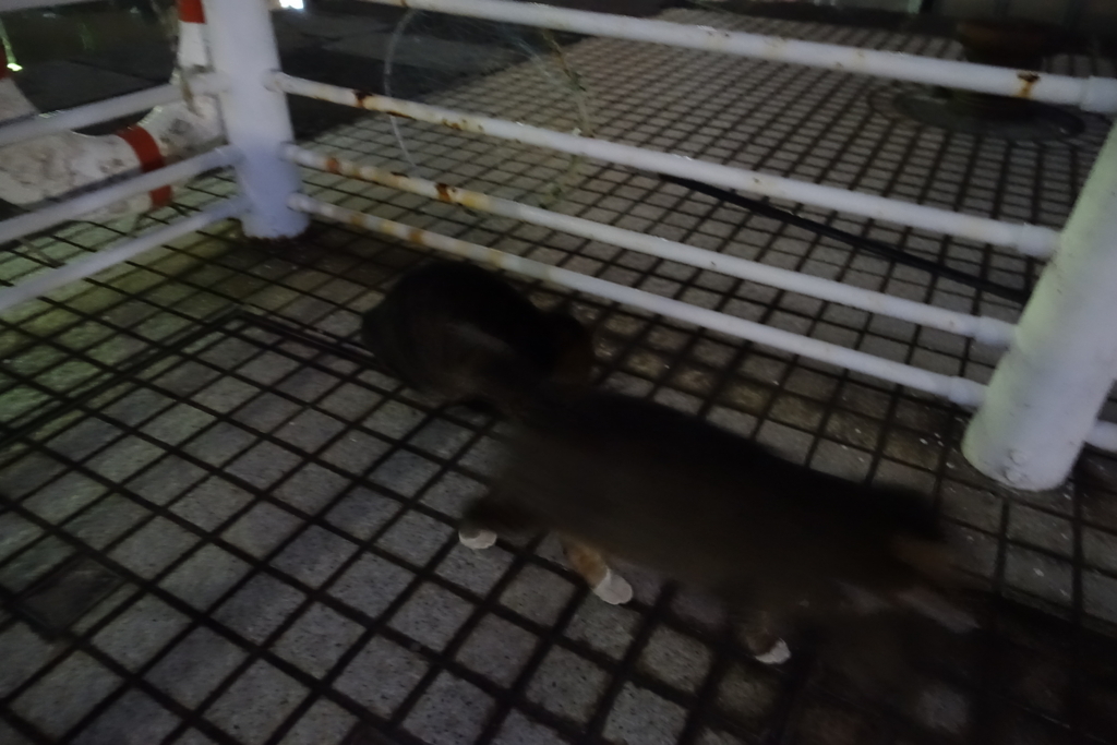f:id:shigeo-t:20180113120121j:plain f:id:shigeo-t:20180113120121j:plain