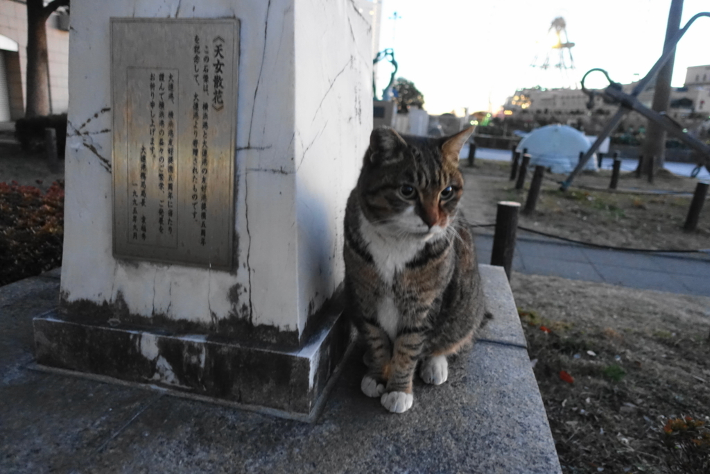 f:id:shigeo-t:20180113121121j:plain f:id:shigeo-t:20180113121121j:plain
