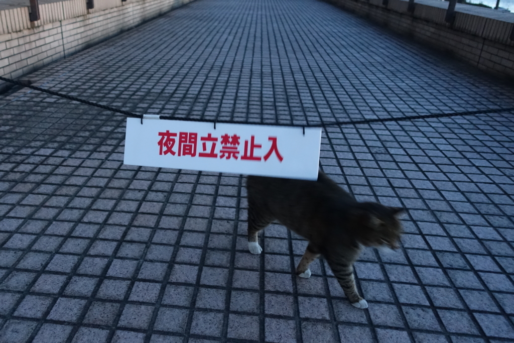 f:id:shigeo-t:20180118100836j:plain f:id:shigeo-t:20180118100836j:plain