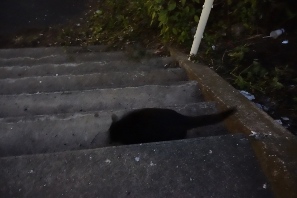 f:id:shigeo-t:20180118102543j:plain f:id:shigeo-t:20180118102543j:plain