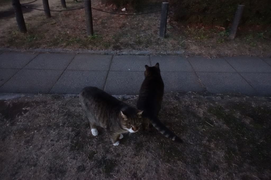 f:id:shigeo-t:20180118103528j:plain f:id:shigeo-t:20180118103528j:plain