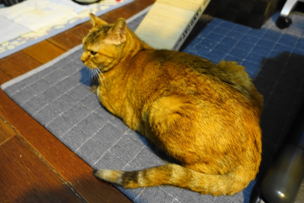 f:id:shigeo-t:20180120044814j:plain f:id:shigeo-t:20180120044814j:plain