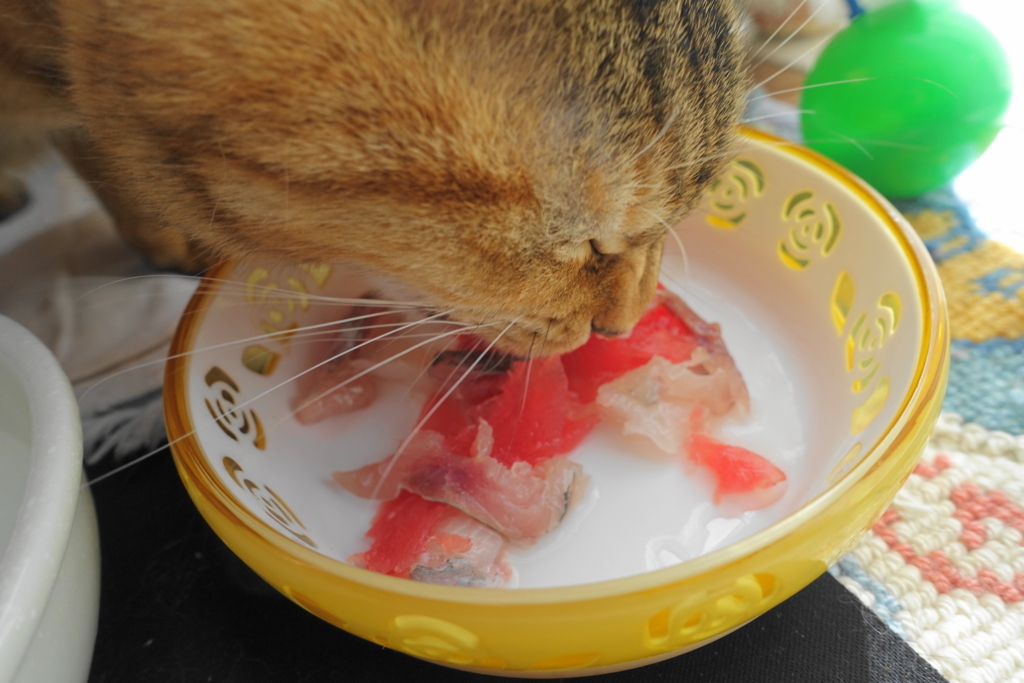 f:id:shigeo-t:20180120111929j:plain
