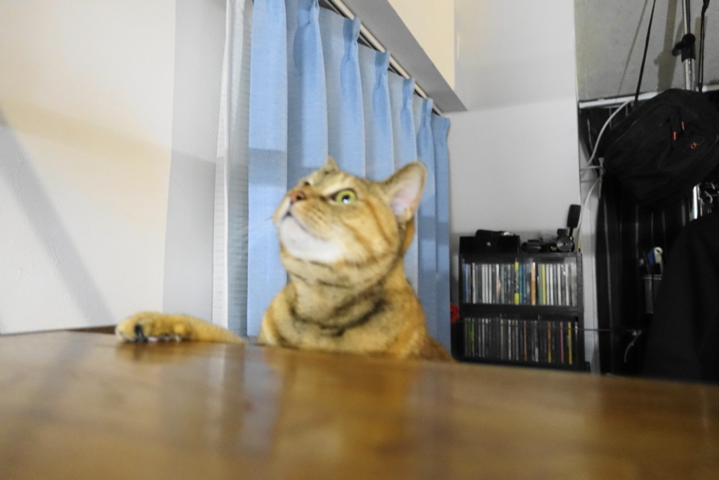 f:id:shigeo-t:20180120112215j:plain