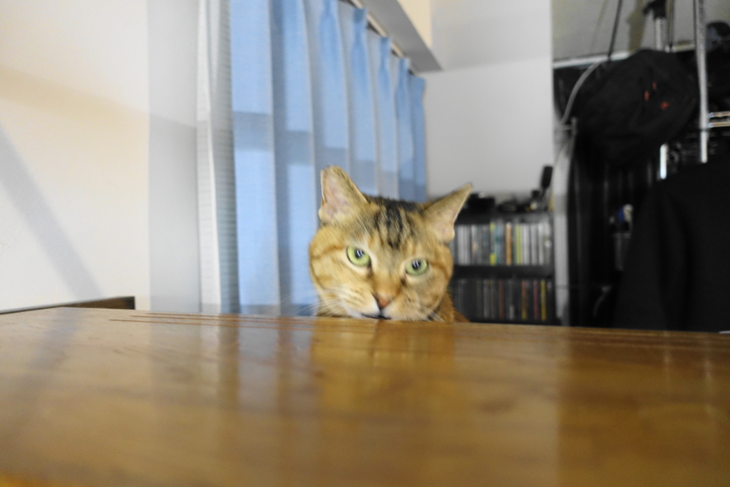f:id:shigeo-t:20180120112221j:plain
