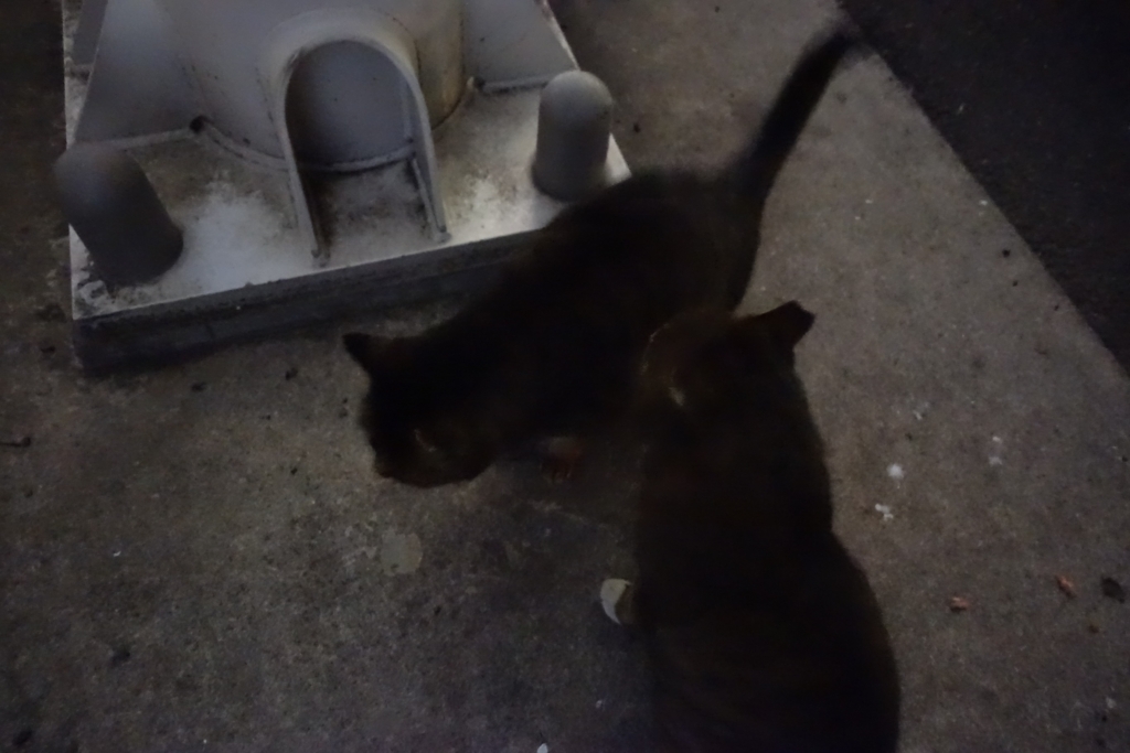 f:id:shigeo-t:20180127115417j:plain f:id:shigeo-t:20180127115417j:plain