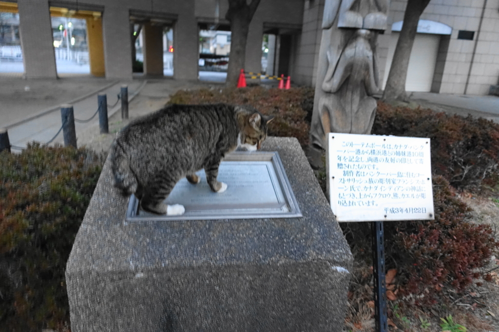 f:id:shigeo-t:20180127115942j:plain f:id:shigeo-t:20180127115942j:plain