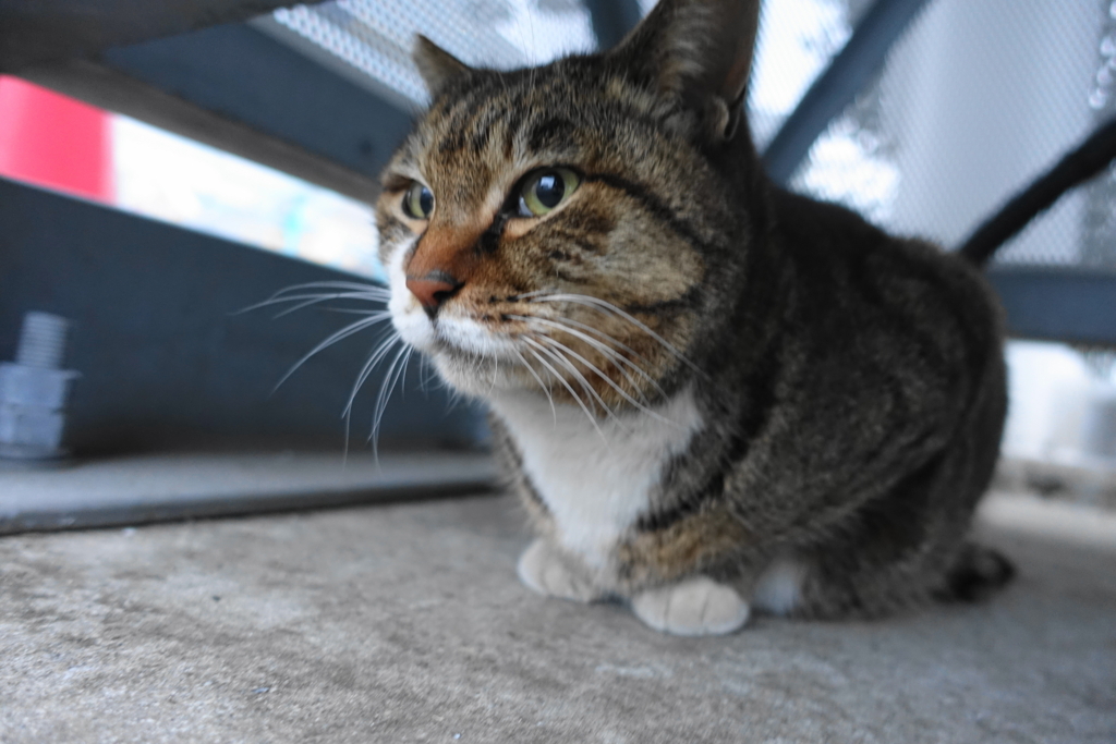 f:id:shigeo-t:20180127122834j:plain f:id:shigeo-t:20180127122834j:plain