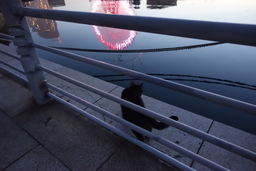 f:id:shigeo-t:20180127123447j:plain f:id:shigeo-t:20180127123447j:plain