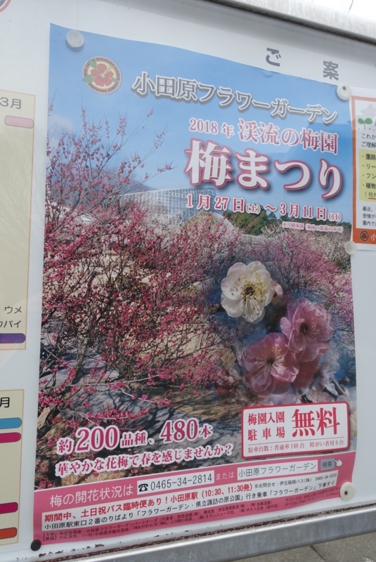 f:id:shigeo-t:20180128192036j:plain f:id:shigeo-t:20180128192036j:plain
