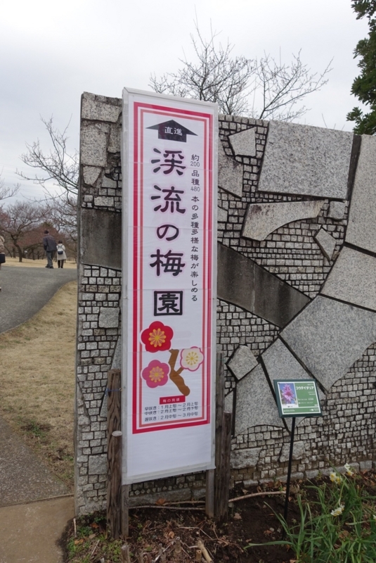 f:id:shigeo-t:20180128192041j:plain f:id:shigeo-t:20180128192041j:plain