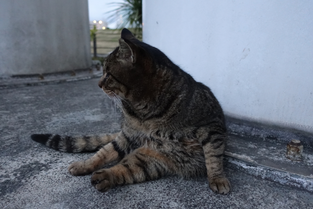 f:id:shigeo-t:20180129125041j:plain