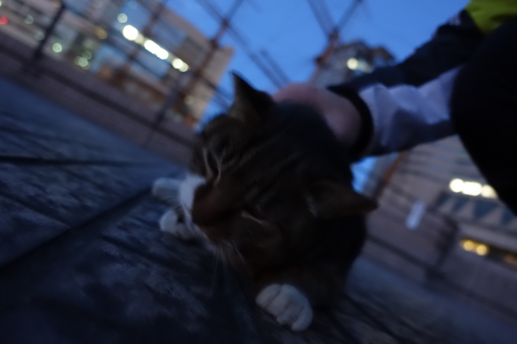 f:id:shigeo-t:20180129130032j:plain