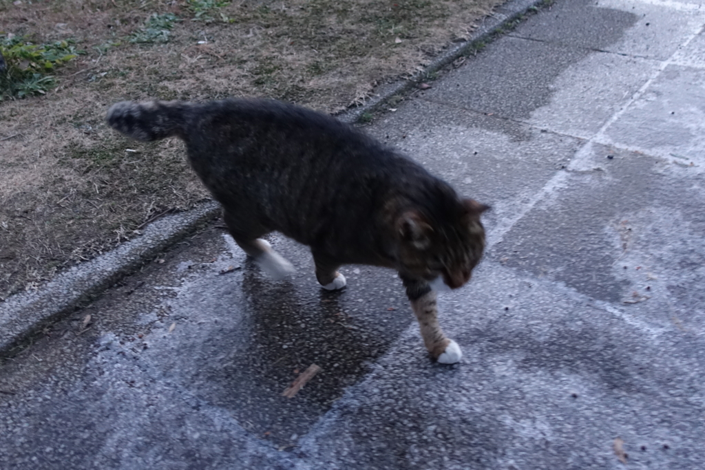 f:id:shigeo-t:20180129130343j:plain