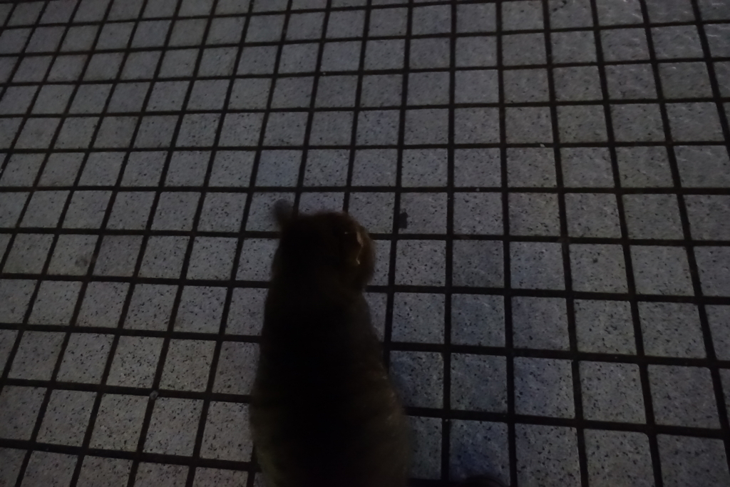 f:id:shigeo-t:20180129130740j:plain