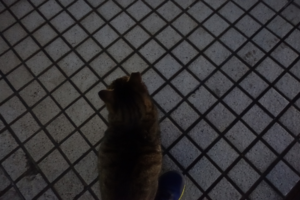 f:id:shigeo-t:20180129132942j:plain