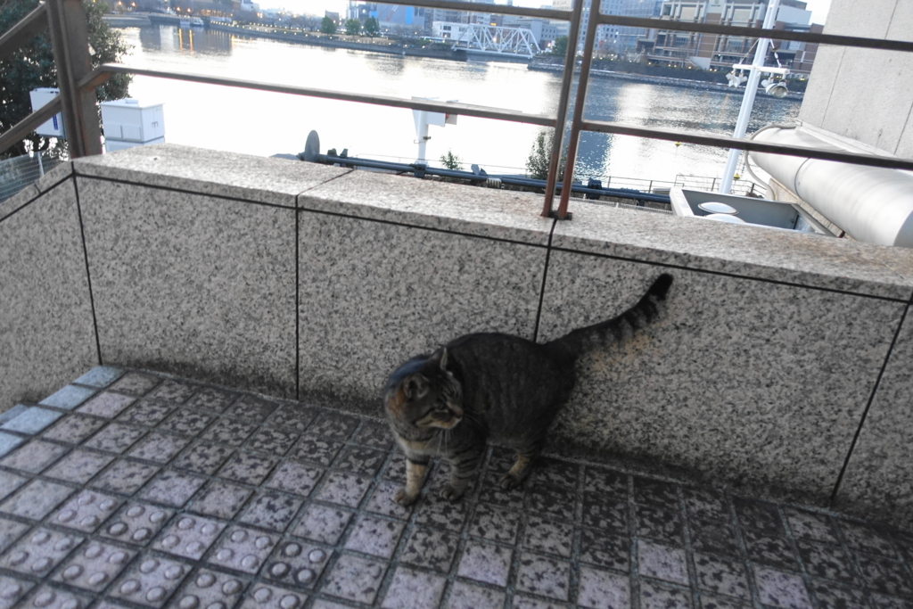 f:id:shigeo-t:20180131101100j:plain