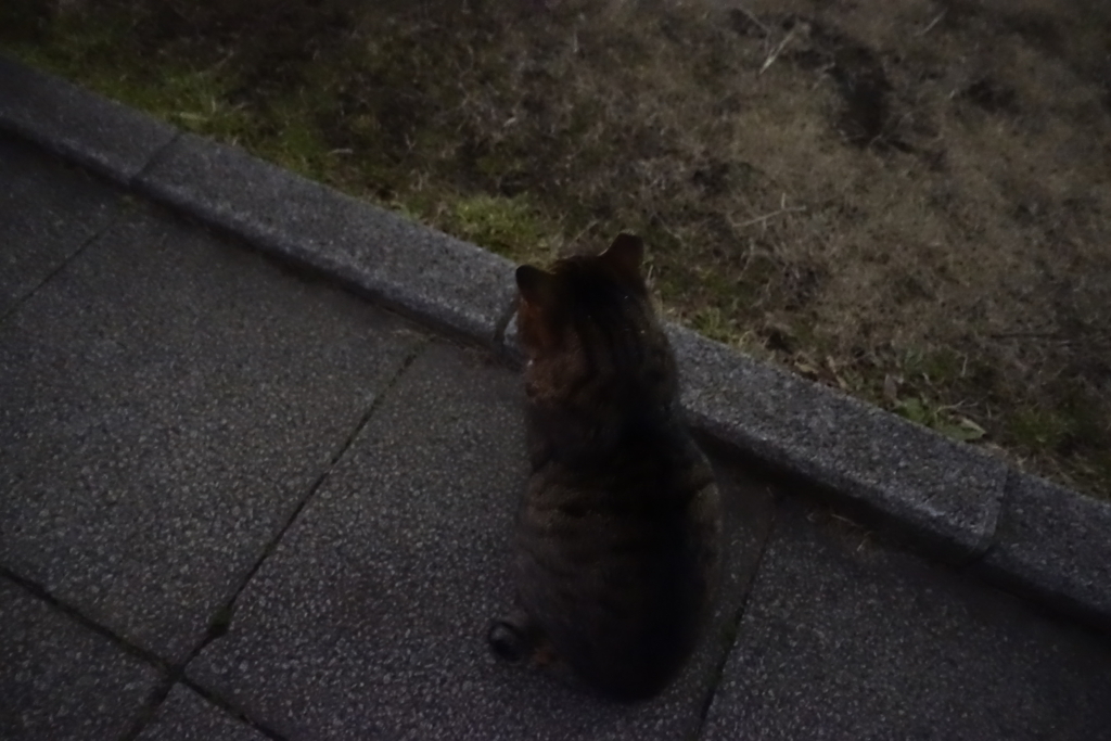 f:id:shigeo-t:20180131101354j:plain