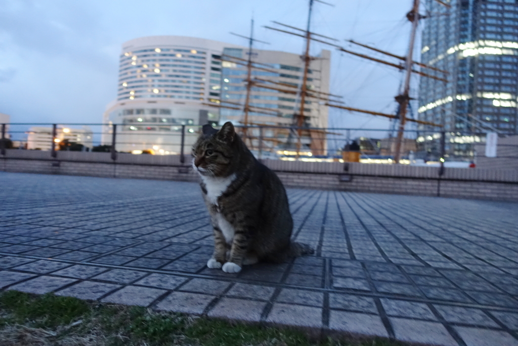 f:id:shigeo-t:20180131101632j:plain