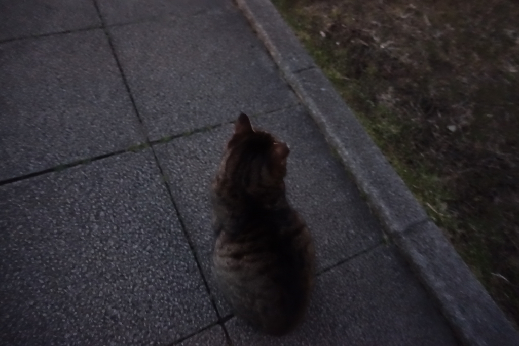 f:id:shigeo-t:20180131102732j:plain