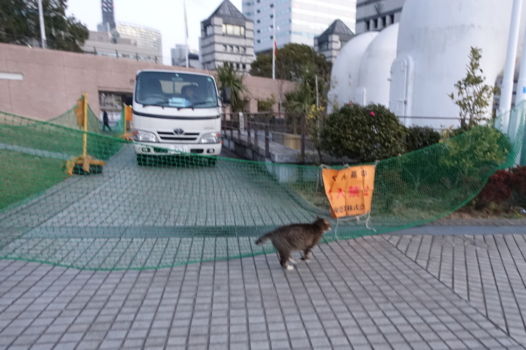 f:id:shigeo-t:20180131103934j:plain