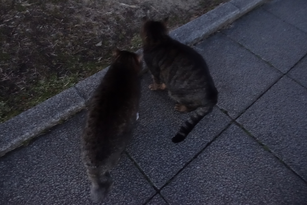 f:id:shigeo-t:20180211112528j:plain f:id:shigeo-t:20180211112528j:plain