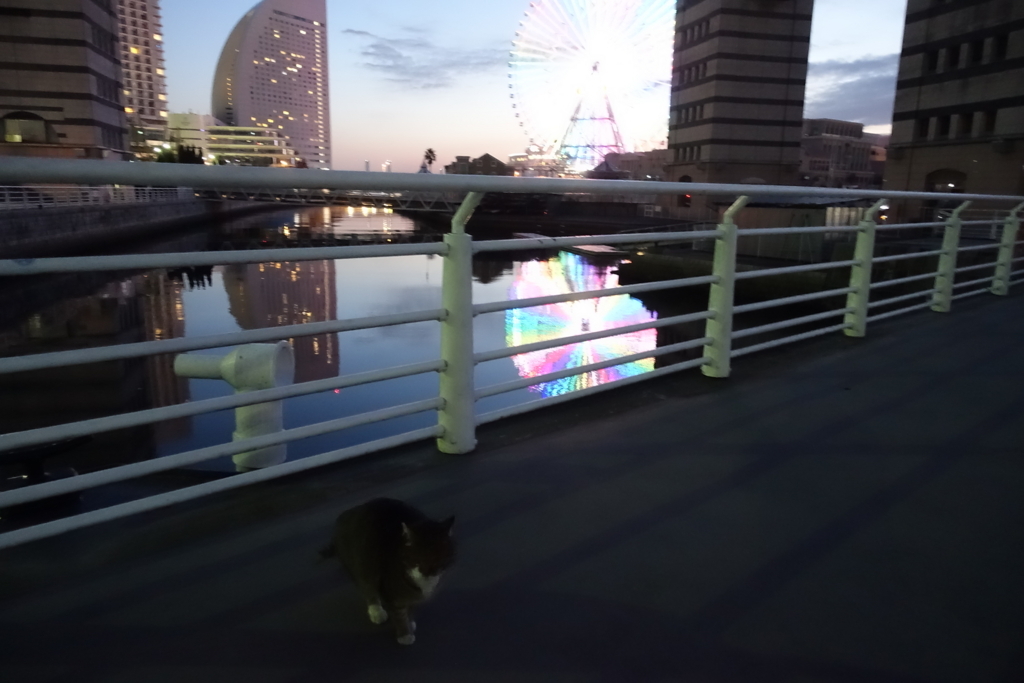 f:id:shigeo-t:20180215111353j:plain