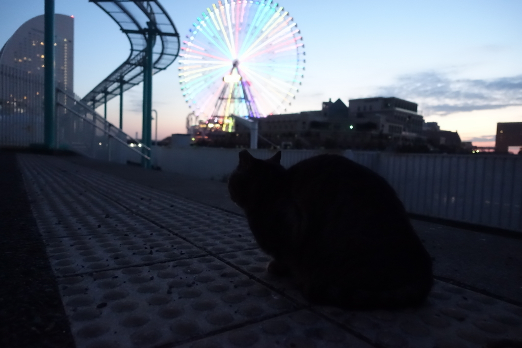 f:id:shigeo-t:20180215111453j:plain