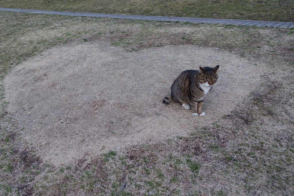 f:id:shigeo-t:20180215113957j:plain