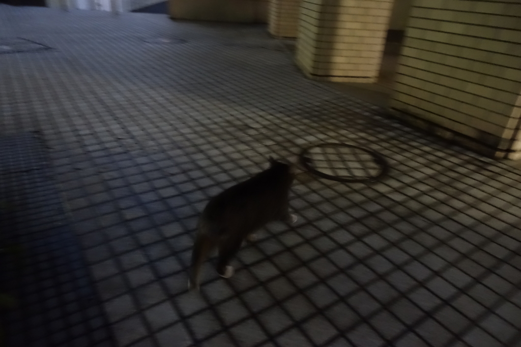 f:id:shigeo-t:20180217101006j:plain