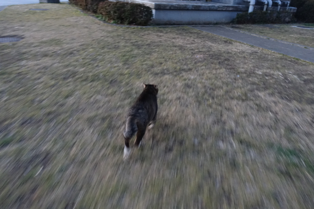 f:id:shigeo-t:20180217102732j:plain