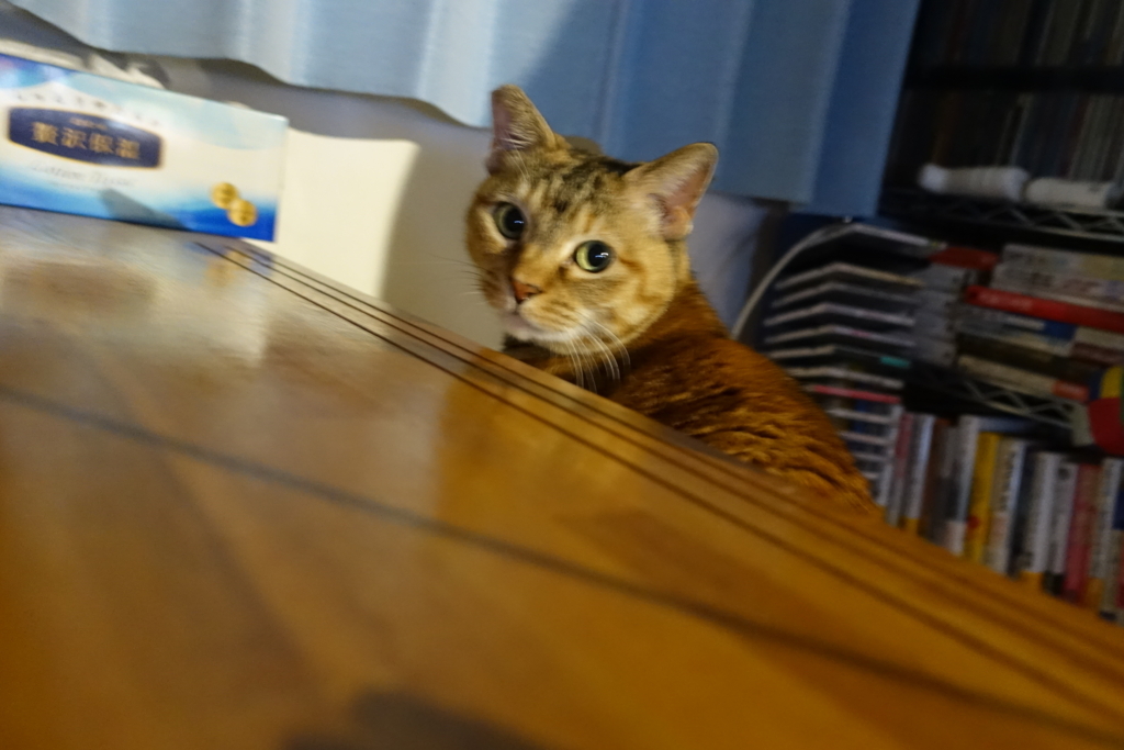 f:id:shigeo-t:20180219113453j:plain